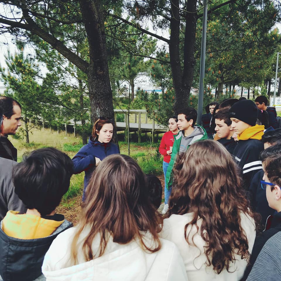 ARTEAM na crista da onda!