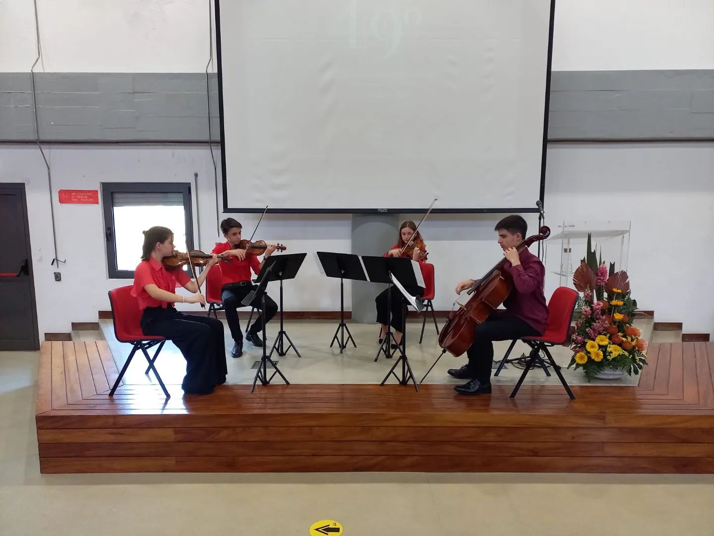 Scordatura em Momento Musical na Escola Superior de Saúde